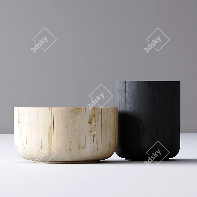 Coastal Coffee Table Set 3D model image 9