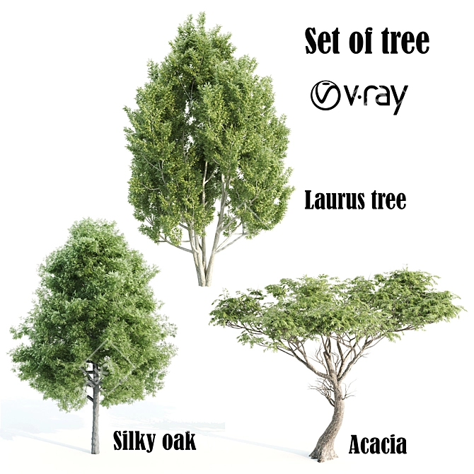 Trio of Majestic V-Ray Trees 3D model image 1