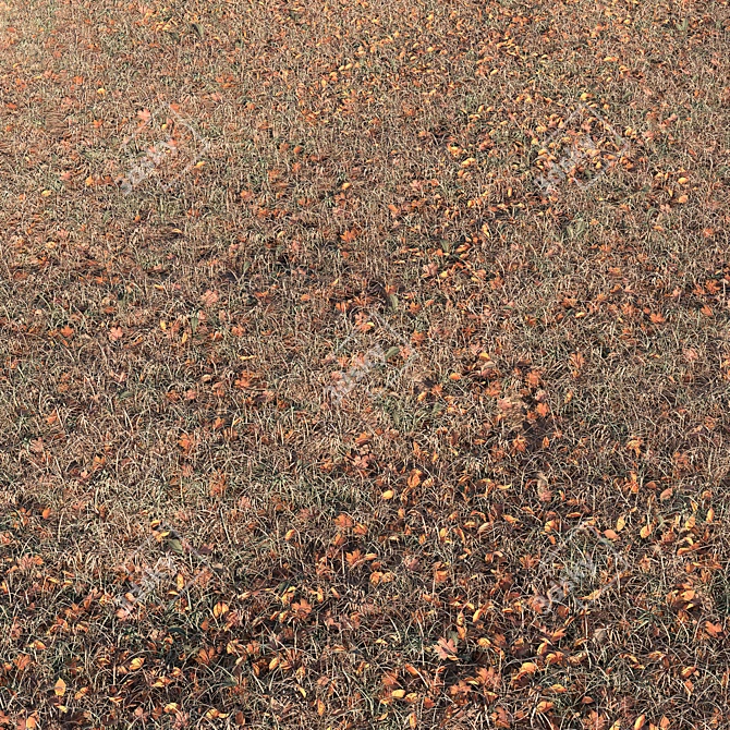 Autumn Foliage Variety 3D model image 1