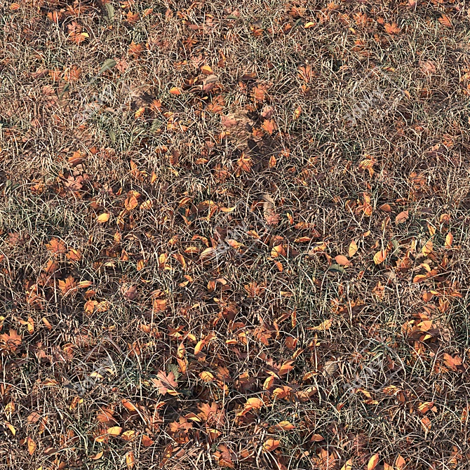 Autumn Foliage Variety 3D model image 2