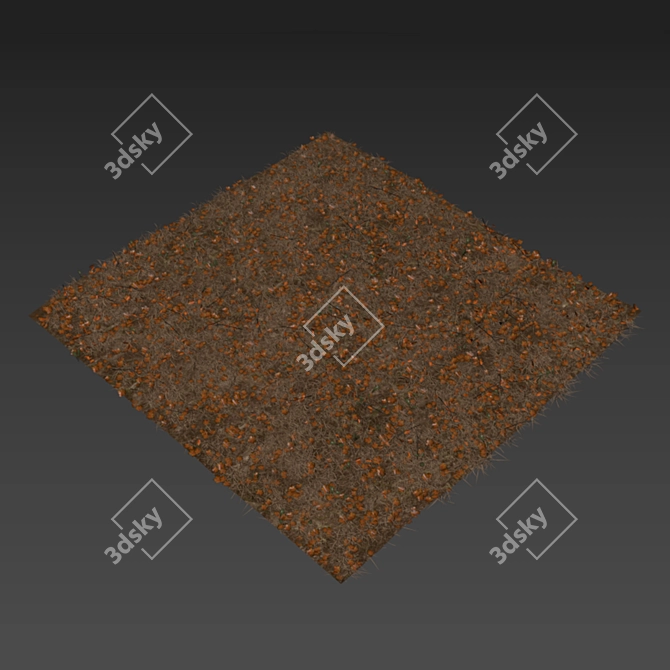 Autumn Foliage Variety 3D model image 6