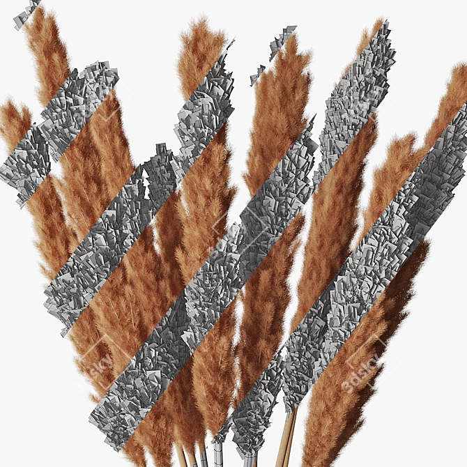 Elegant Pampas Grass Display 3D model image 5