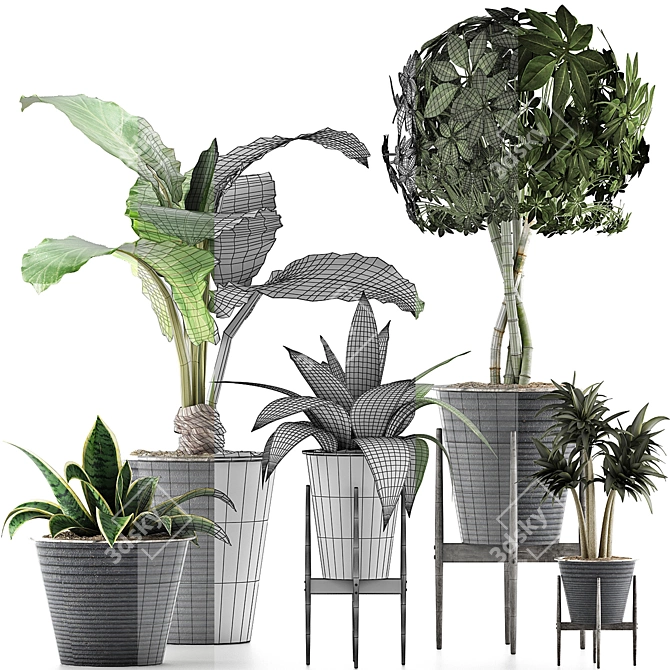 Exotic Plants Collection: 40 Varieties 3D model image 4