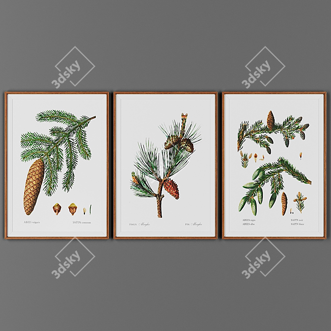 Wooden Frame Picture Set 3D model image 1