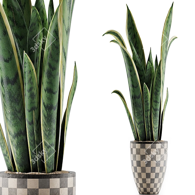 Exotic Greenery: Plants Collection 44 3D model image 1