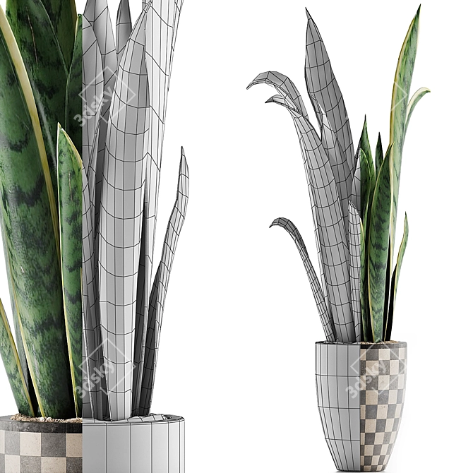 Exotic Greenery: Plants Collection 44 3D model image 4