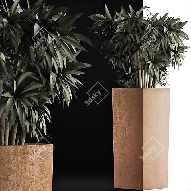 Desert Jungle Collection 3D model image 3