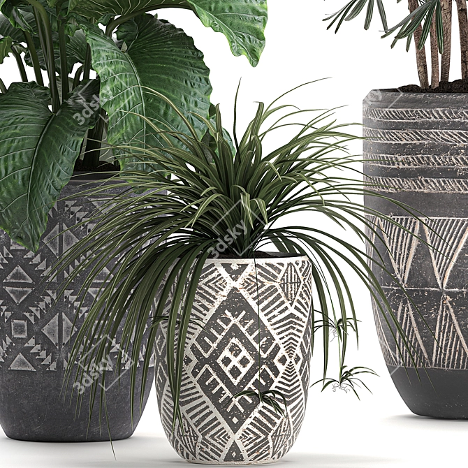 Exotic Plant Collection: Raphis Palm, Alocasia, and Chlorophytum 3D model image 3