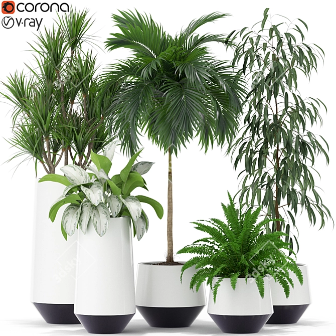 Lush Greenery for Your Home 3D model image 1