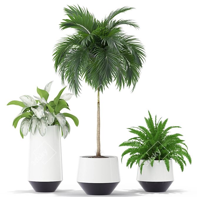 Lush Greenery for Your Home 3D model image 2