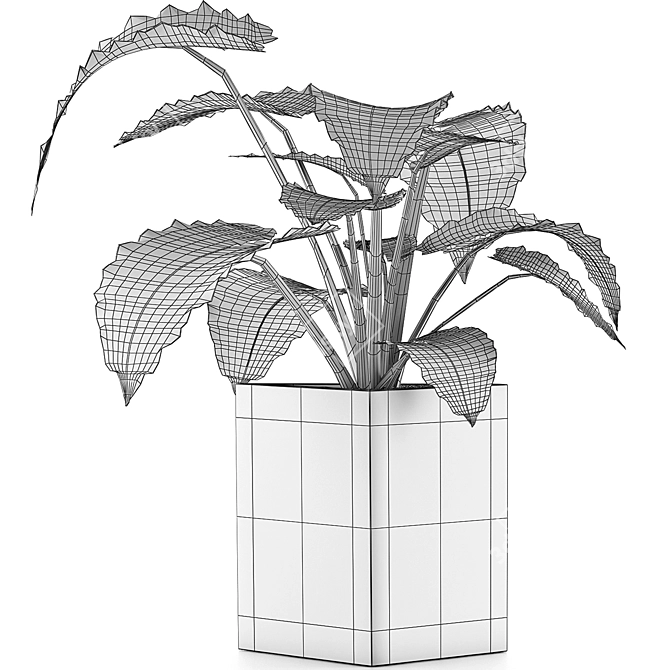Exotic Alocasia: Perfect Decor for Office 3D model image 4