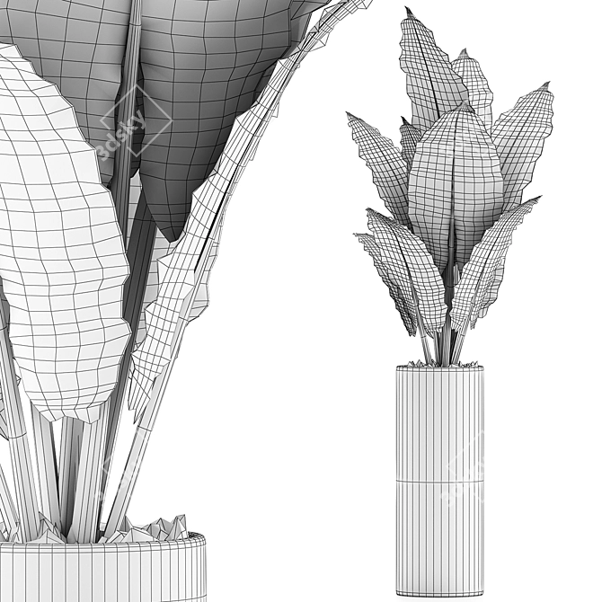 Tropical Greenery: Alocasia Plants 3D model image 5