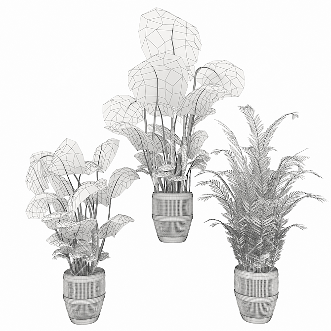 Green Oasis Collection: Parlor Palm, Monstera, Calathea 3D model image 5