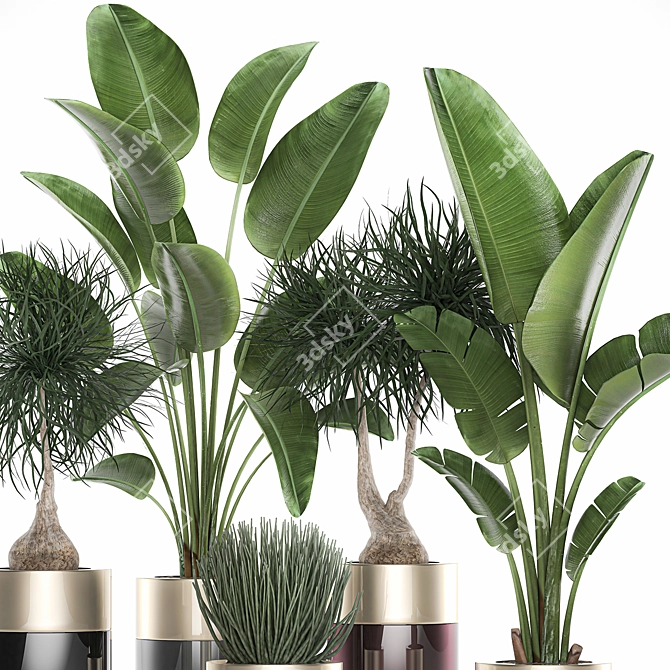 Exotic Plant Collection for Indoor and Outdoor Décor 3D model image 3