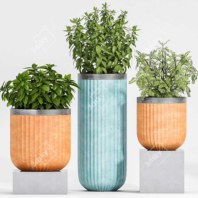 Botanical Bliss: Decorative Planter Set 3D model image 2