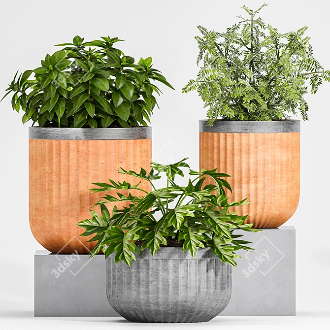 Botanical Bliss: Decorative Planter Set 3D model image 3