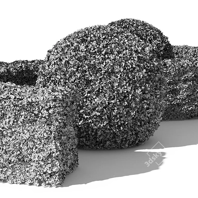 Evergreen Buxus Sempervirens Shrub 3D model image 4
