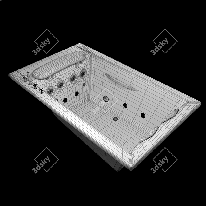 Luxury Hydrotherapy Bathtub 3D model image 5