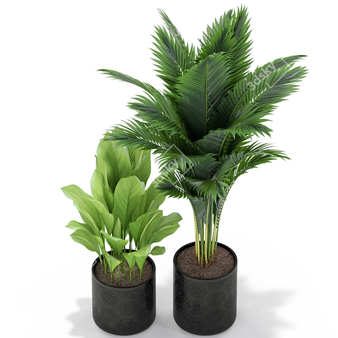  Lush Greenery Collection: 380 Varieties 3D model image 2