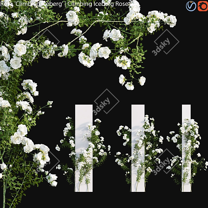 Frozen Blossom: Climbing Iceberg Rose 3D model image 1