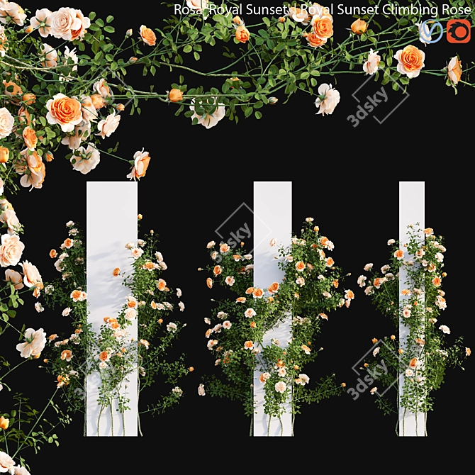 Regal Rose Sunset Climber 3D model image 1