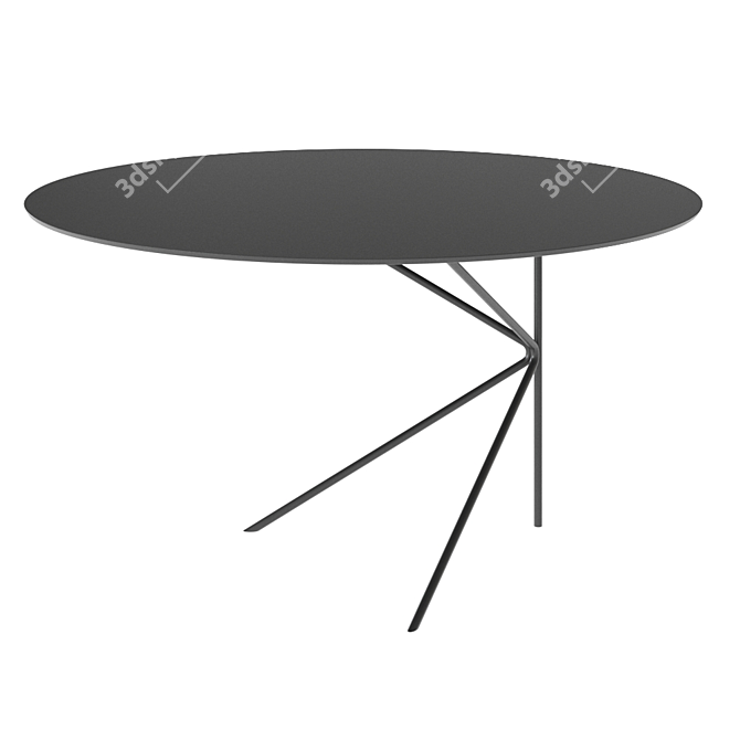 Twin B Round Metal Coffee Table 3D model image 2