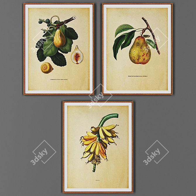 Vintage Wood Frame Picture Set 3D model image 1