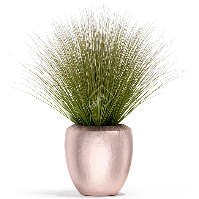 Exquisite 396 Plant Collection 3D model image 2