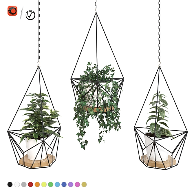 Title: Modern Hanging Planters with Vibrant Sansevieria, Ficus, and Ivy 3D model image 1