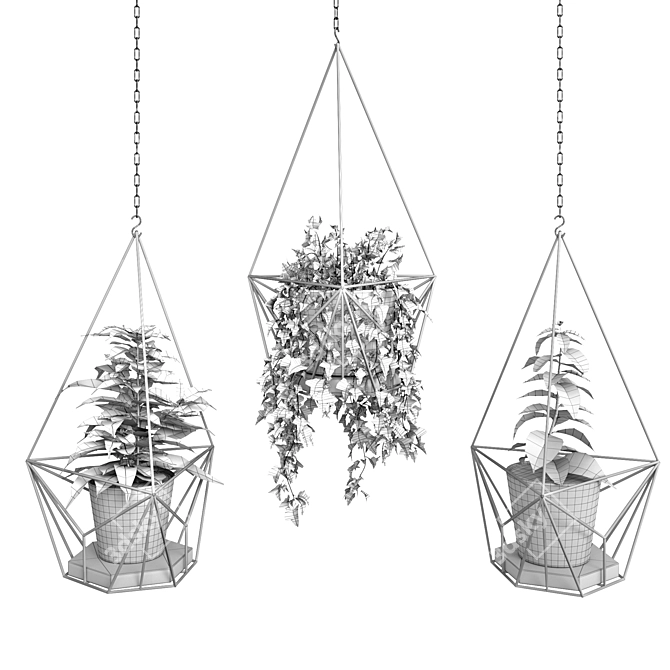 Title: Modern Hanging Planters with Vibrant Sansevieria, Ficus, and Ivy 3D model image 3