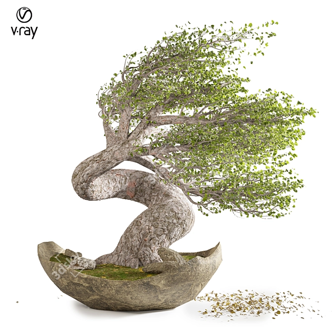  Serene Bonsai Winds 3D model image 1