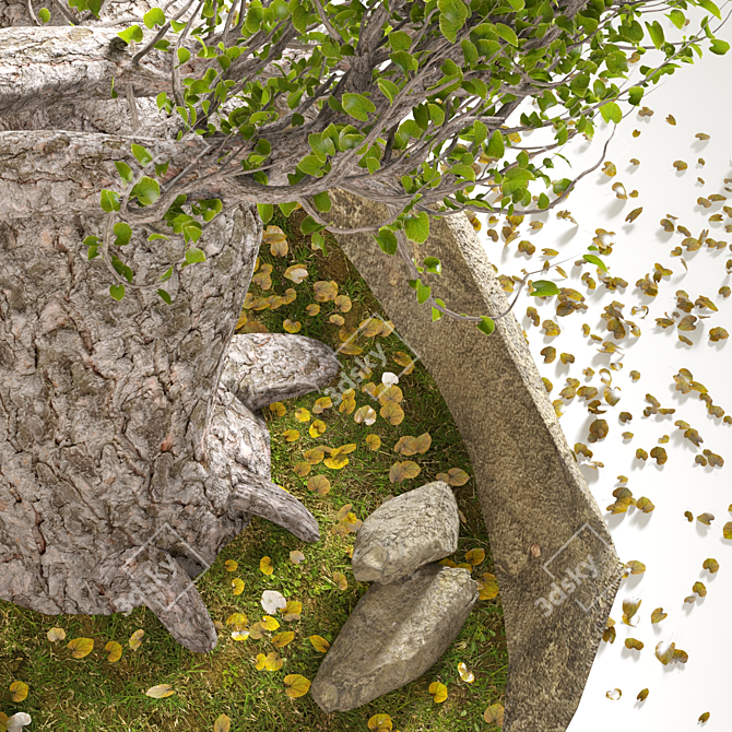  Serene Bonsai Winds 3D model image 2