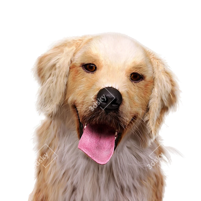 Golden Retriever: Beautiful Hunting Dog 3D model image 2