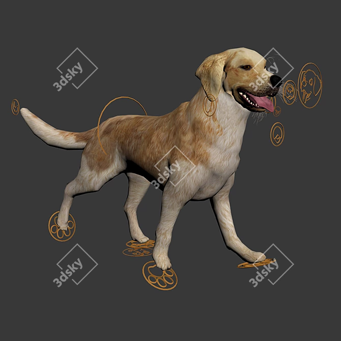 Golden Retriever: Beautiful Hunting Dog 3D model image 5