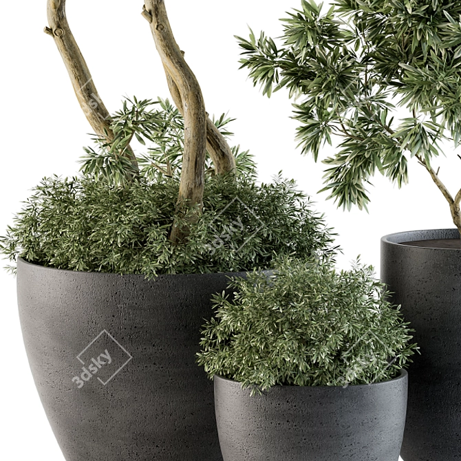 Outdoor Greenery Set: 90 Tree-in-Pot 3D model image 2