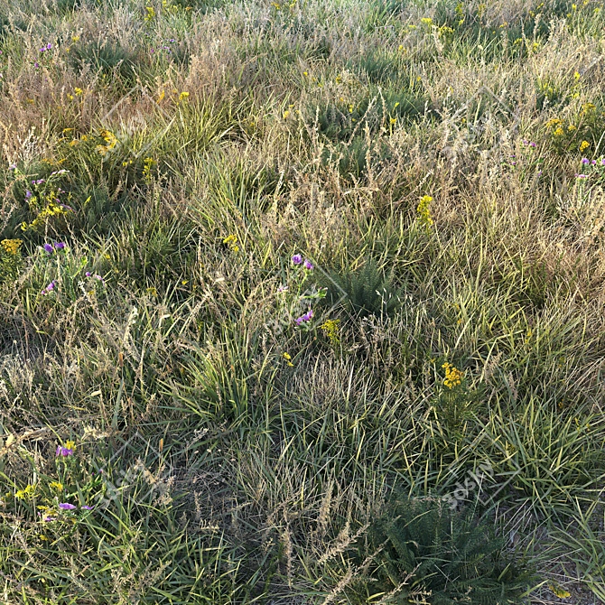 Autumn Paradise: Lush Grass Fields 3D model image 1