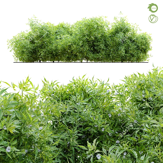 Flourishing Bush - 1.2m Height 3D model image 1