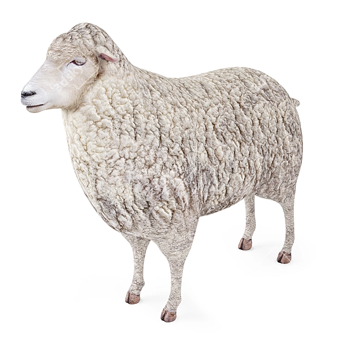 Premium Sheep: 2k Textures & Lifelike Details 3D model image 1