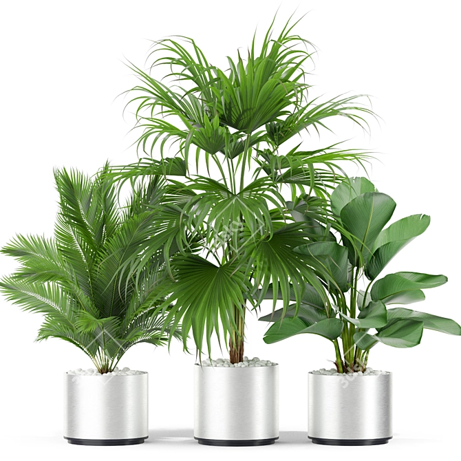 Tropical Oasis: 419 Plants 3D model image 3