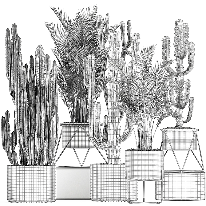 Exotic Plant Collection: Cacti & Palms 3D model image 5