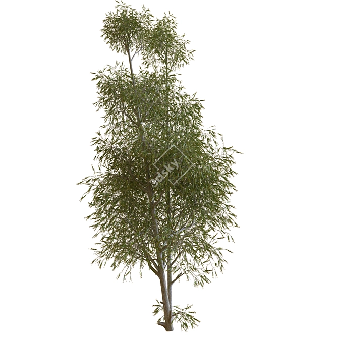 22-Piece Tree Set 3D model image 2