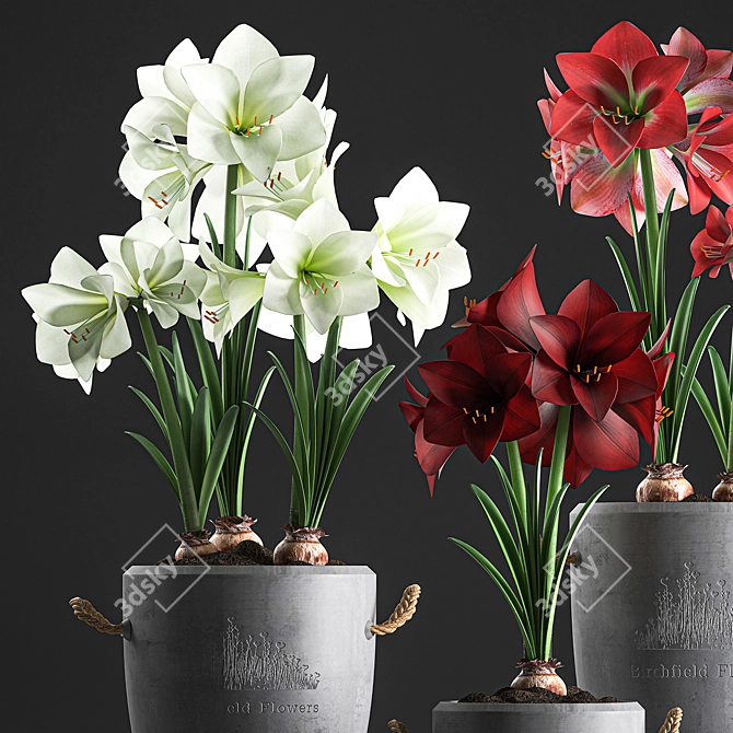 Tropical Plant Collection: Exotic Blooms for Indoors and Outdoors 3D model image 3