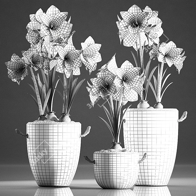 Tropical Plant Collection: Exotic Blooms for Indoors and Outdoors 3D model image 5