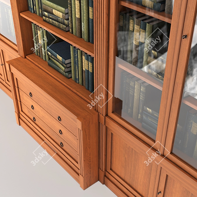 Elegant DIRETTORIO Library Cabinet 3D model image 4