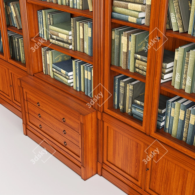 Elegant DIRETTORIO Library Cabinet 3D model image 8