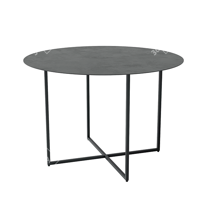 Elegant Circle Coffee Table 3D model image 3