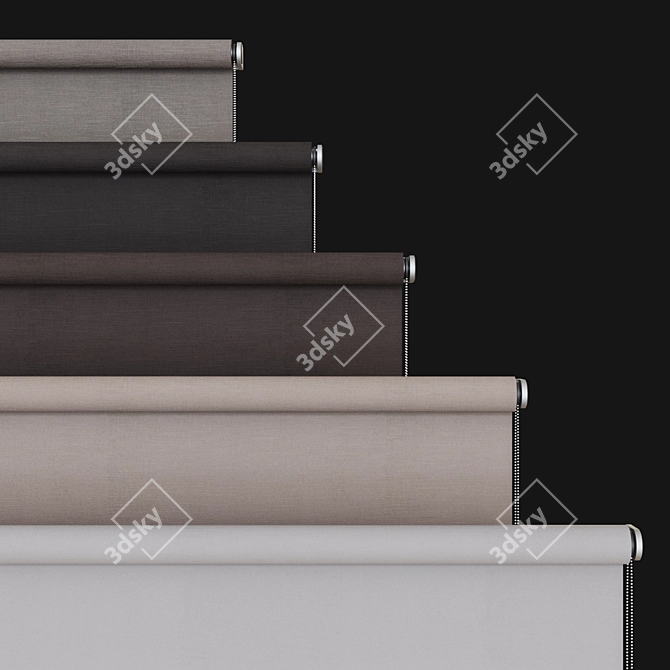 Customizable Roller Blinds - Adjust Sizes & Fabric Texture 3D model image 3