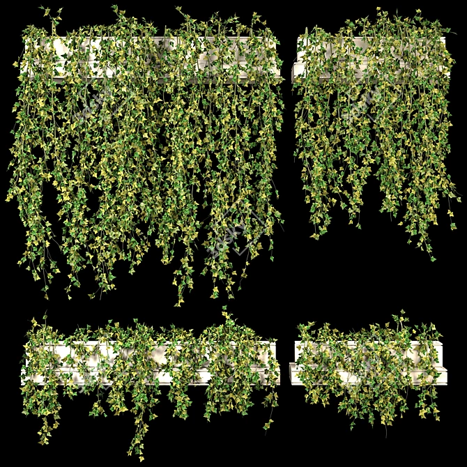 Lush Ivy Set for 3Dmax 3D model image 1