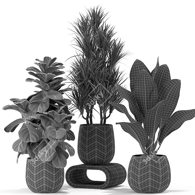 Exquisite Plants Collection 423 3D model image 4