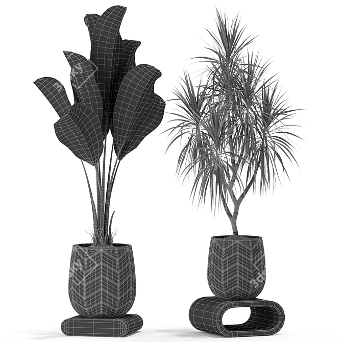 Exquisite Plants Collection 423 3D model image 5